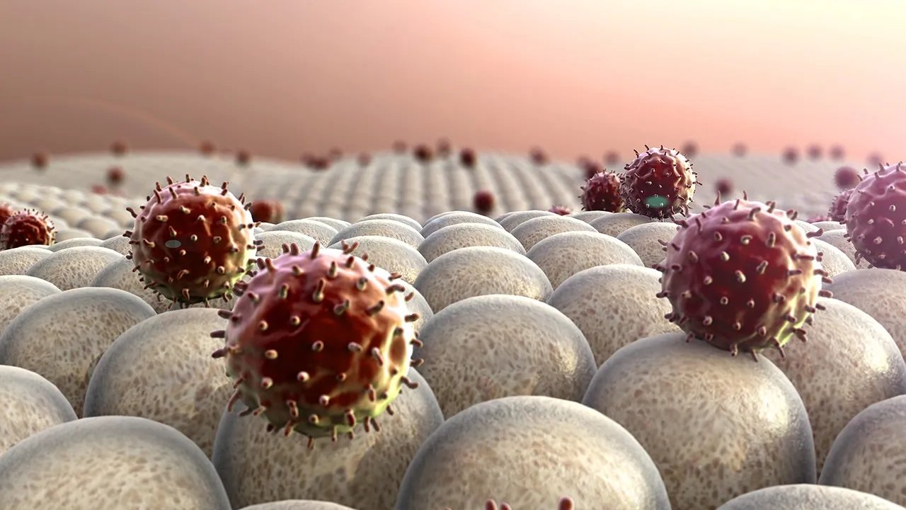 人死后癌细胞去了哪里？这些日常抗癌方法请收好