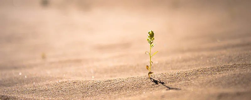 中国最大的沙漠 中国最大的沙漠是什么