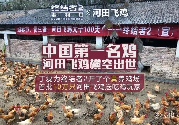 在《绝地求生》里吃鸡还不够？网曝网易成立养鸡场
