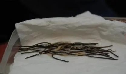 人称外星物种钢丝女努西达身体长钢丝图片 特异功能人的真实事件