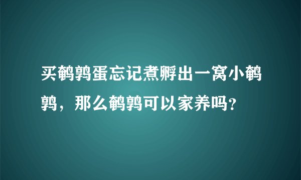 买鹌鹑蛋忘记煮孵出一窝小鹌鹑，那么鹌鹑可以家养吗？