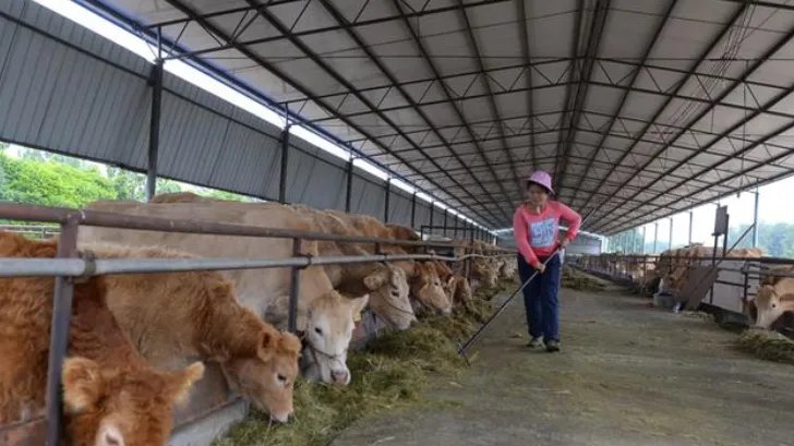 山东省出现炭疽死亡病例 死者为14岁学生