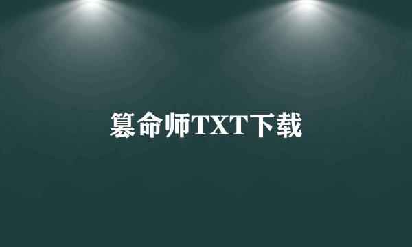 篡命师TXT下载