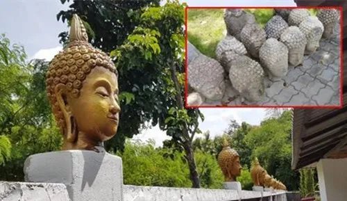 用佛头建别墅被举报原因曝光   两周后将毫不留情强制拆除