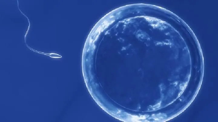 让精子强大的12个养生小方法！