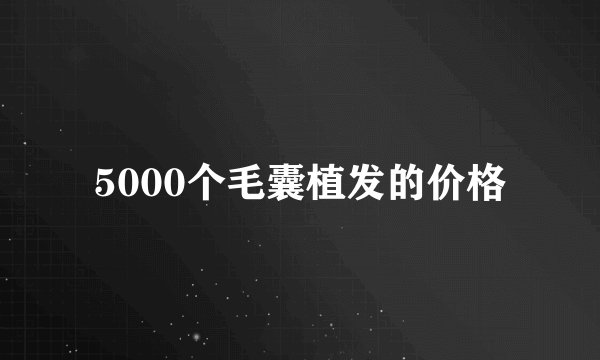 5000个毛囊植发的价格