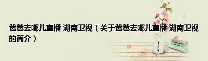 爸爸去哪儿直播 湖南卫视（关于爸爸去哪儿直播 湖南卫视的简介）