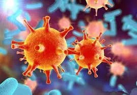 香港一新冠康复者二次感染，为什么不是复阳呢？