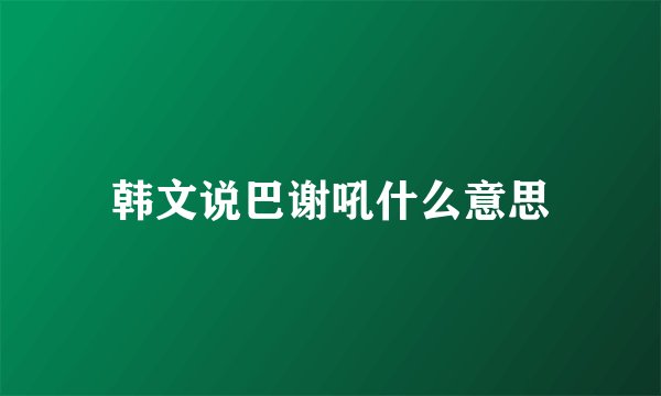 韩文说巴谢吼什么意思