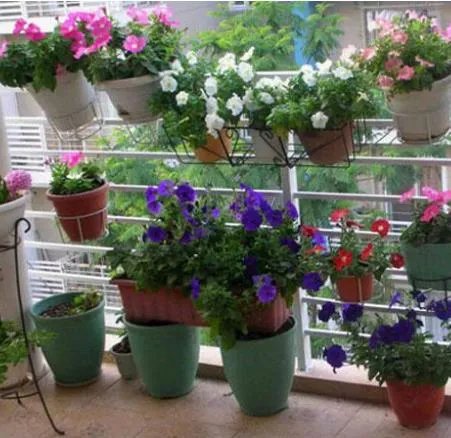 在阳台上做了：小情侣在阳台上做了这样的事