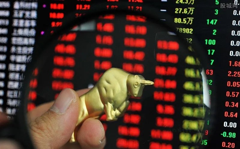 特猫肉系是什么意思 赵薇金主明天系与特猫肉系的关系