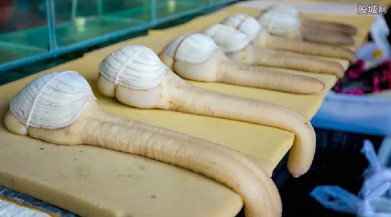 三亚店铺被指宰客 三亚哪里买海鲜最划算