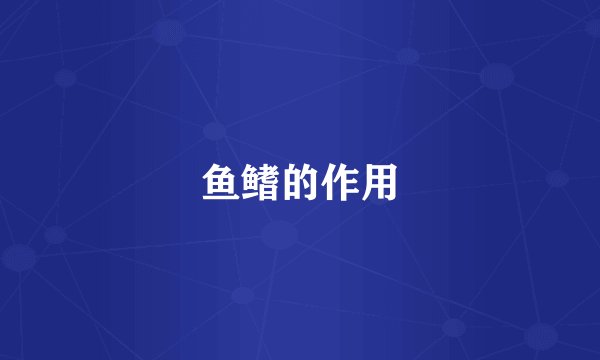 鱼鳍的作用
