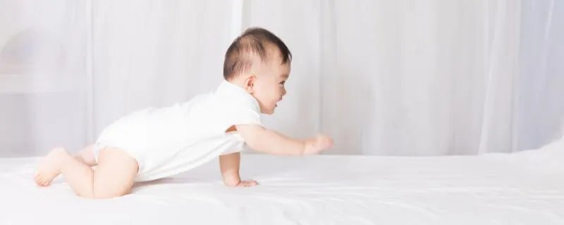 金字旁的字有哪些 金字旁的字大全