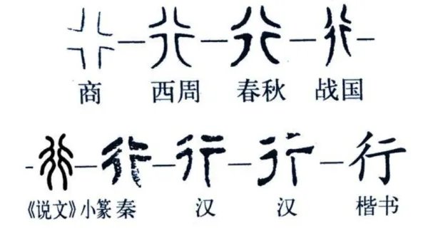 文的笔顺怎么写