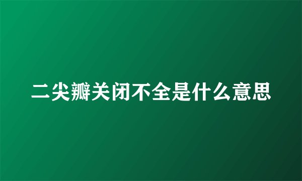 二尖瓣关闭不全是什么意思