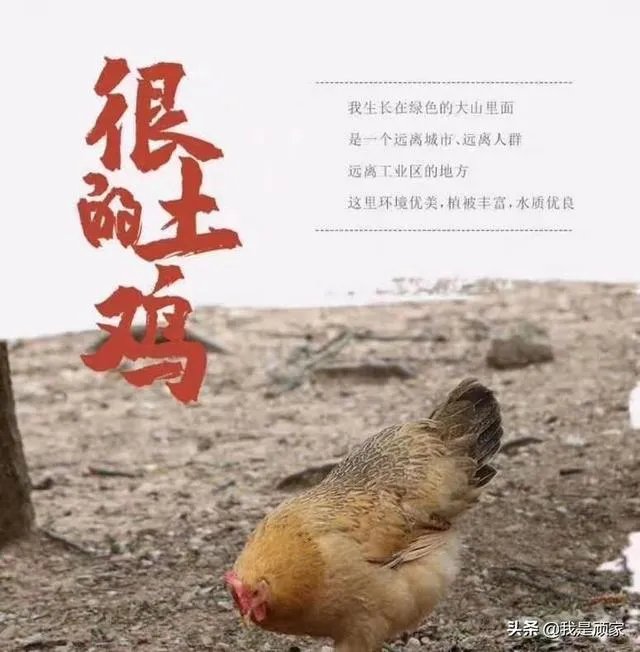 你们公司或者自己要拍照，都是怎么找摄影师的？