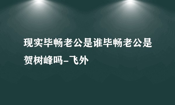 现实毕畅老公是谁毕畅老公是贺树峰吗-飞外