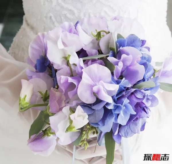 新娘为啥要拿捧花?真相让人崩溃(借花香遮掩身上难闻的臭味)