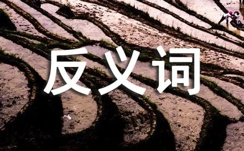 骄傲的反义词是什么