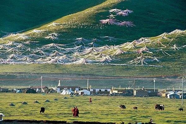 95后成旅游消费主力军，为什么旅游这么受欢迎？