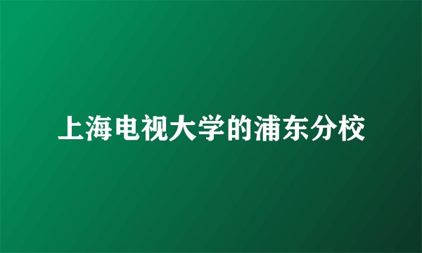 上海电视大学的浦东分校