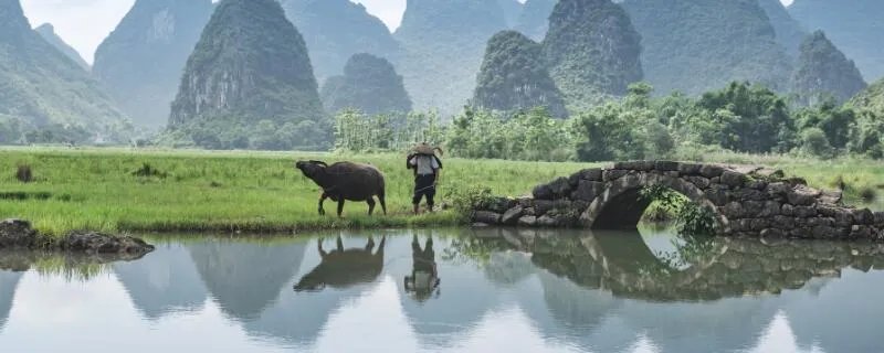 属牛的年份 牛年是哪几年