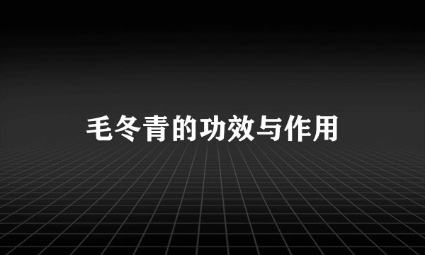 毛冬青的功效与作用