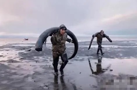 农民海边挖土 竟挖出巨额财富（图）