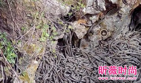 维修管道:发现这一幕之后脚发麻!(组图)