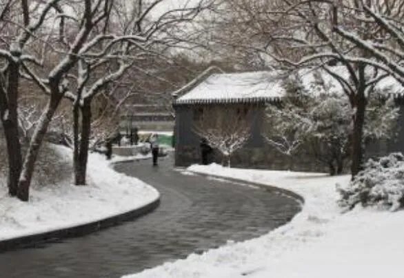 北京多地下雪怎么回事 北京四月为什么会下雪