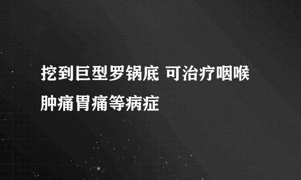 挖到巨型罗锅底 可治疗咽喉肿痛胃痛等病症