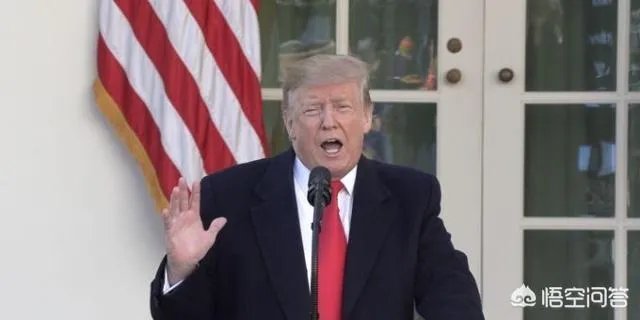 库克把推特名改了原委曝光竟将错就错，库克为何把推特名改成苹果？