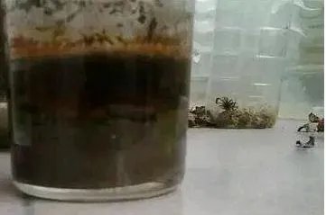 真实存在的诡异物品 千万别碰:太吓人(图)