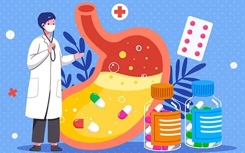 胃在哪个位置图 胃的位置图 胃的结构图