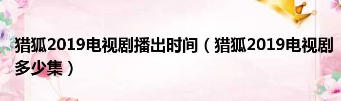 猎狐2019电视剧播出时间（猎狐2019电视剧多少集）