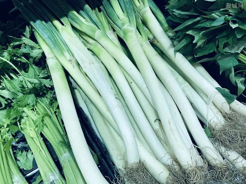 大葱价格短期翻几倍 附今日最新市场售价
