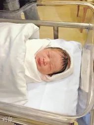 洪金宝来六安干什么 坐轮椅现身六安