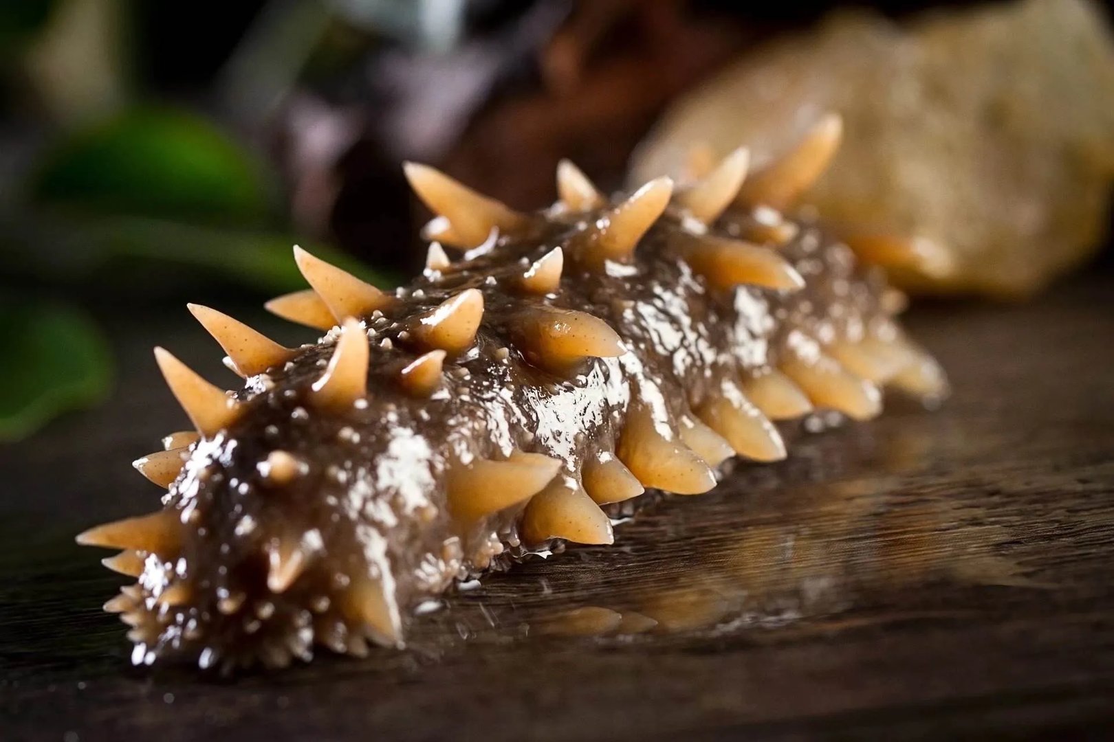 即墨海参违规养殖3人被控制，这样的海参以后还敢食用吗？