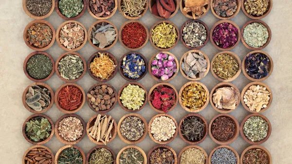 中药木蝴蝶功效与作用