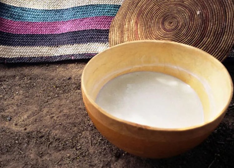 驼奶的功效与作用