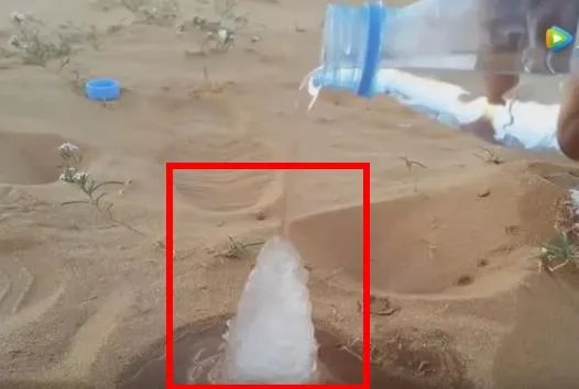 沙漠中倒下水接下来现惊奇一幕（组图）