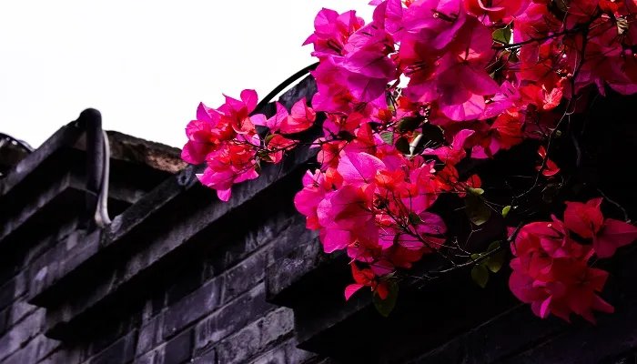 四月的英文缩写是什么，四月的英语缩写