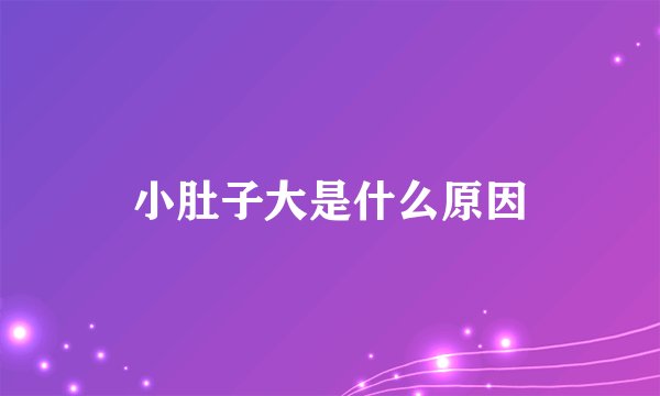 小肚子大是什么原因