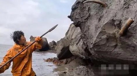 农民海边挖土 竟挖出巨额财富（图）