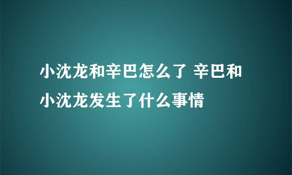 小沈龙和辛巴怎么了 辛巴和小沈龙发生了什么事情