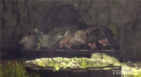 《最后的守护者》剧情故事介绍 最后的守护者剧情是什么