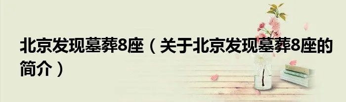 北京发现墓葬8座（关于北京发现墓葬8座的简介）