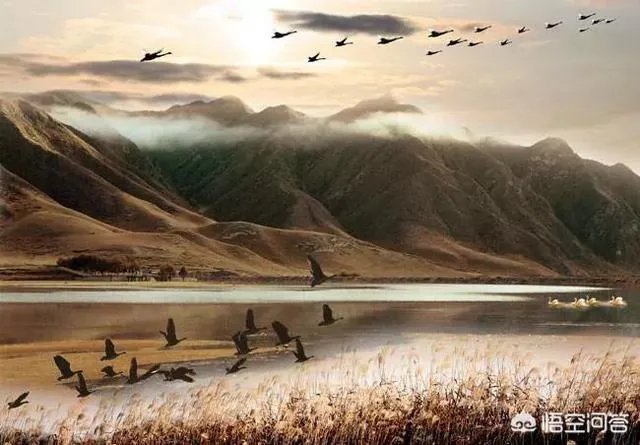 日藏逍遥谷，月过快活林。请对下联？