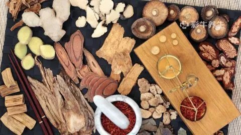 樟木的功效与作用